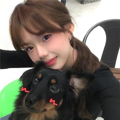 观鸟者指导大全